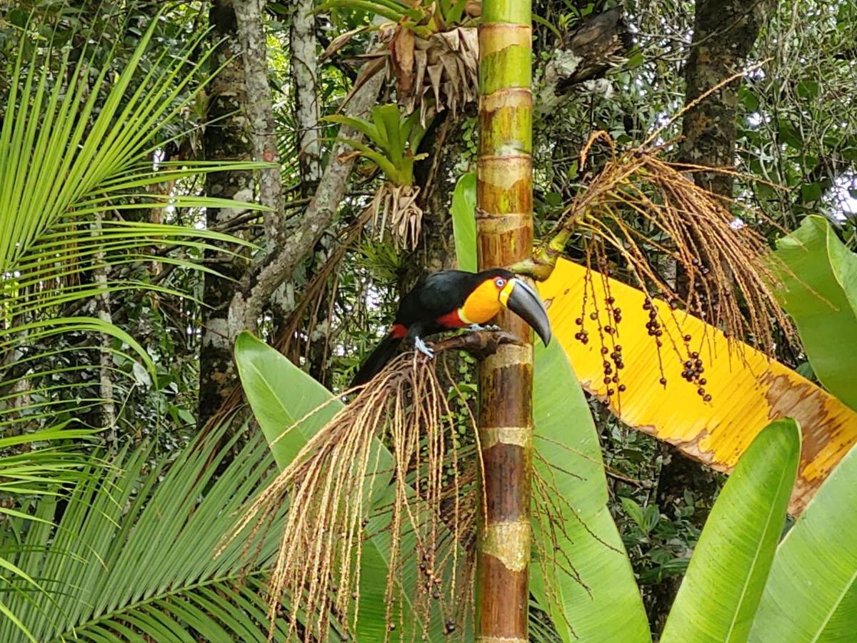 Casa Em Bertioga - Guaratuba Villa Eksteriør billede
